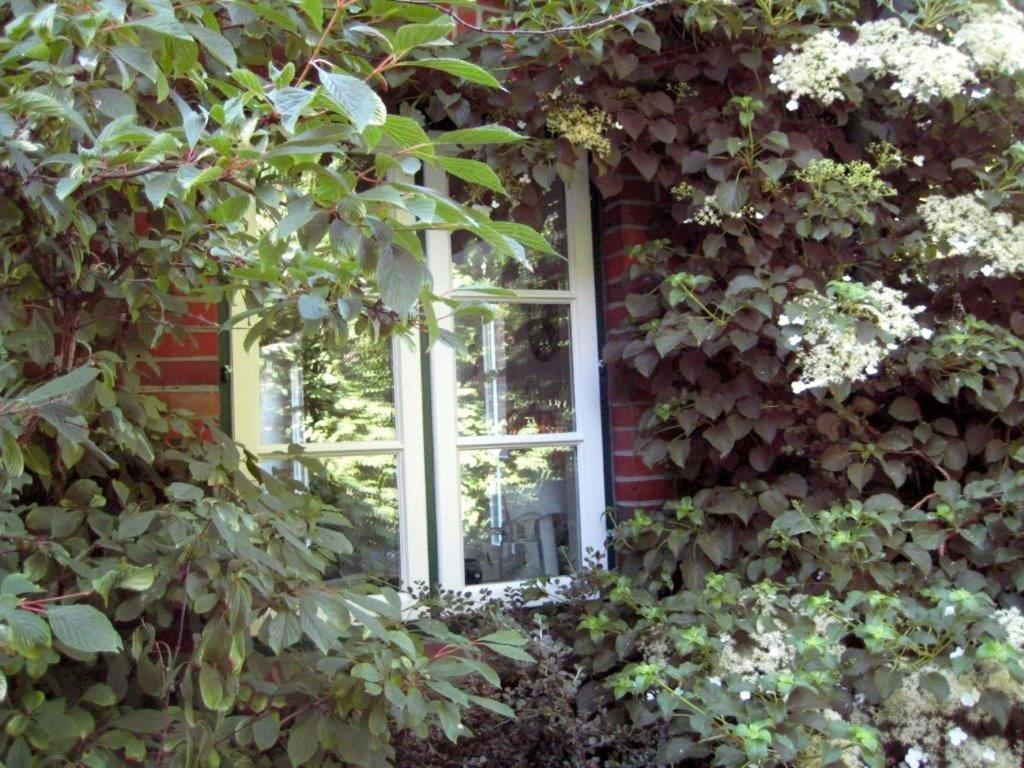 Ferienhaus Marsch Auf Foehr Borgsum Kültér fotó