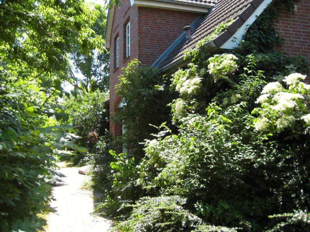 Ferienhaus Marsch Auf Foehr Borgsum Kültér fotó